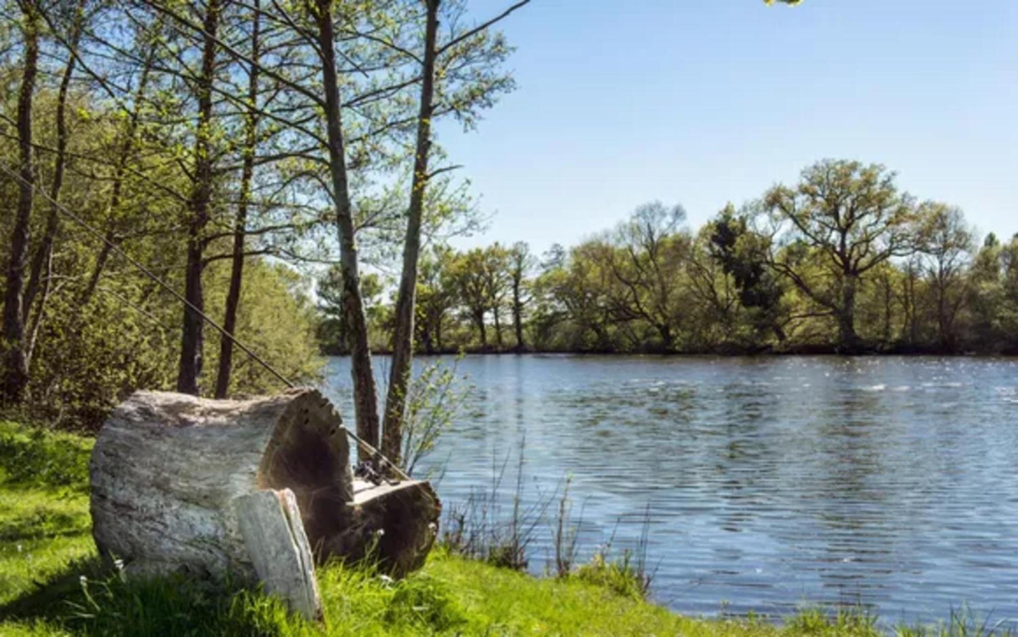 Château de l'Epinay Saint-Georges sur Loire Exterior foto
